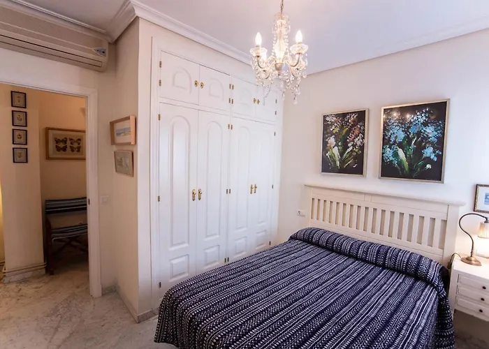 La Terraza Del Drago カディス