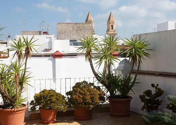 La Terraza Del Drago カディス