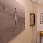 La Terraza Del Drago *
